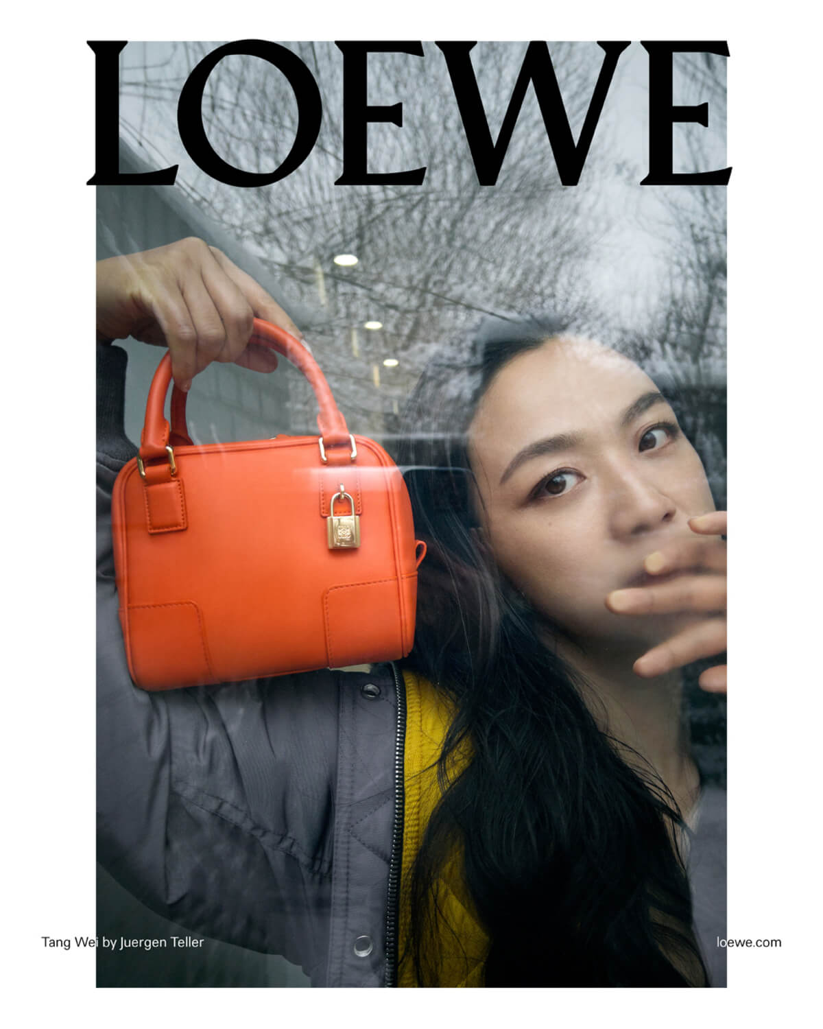 Loewe Enlists Celebrities To Showcase Pre-Fall Campaign