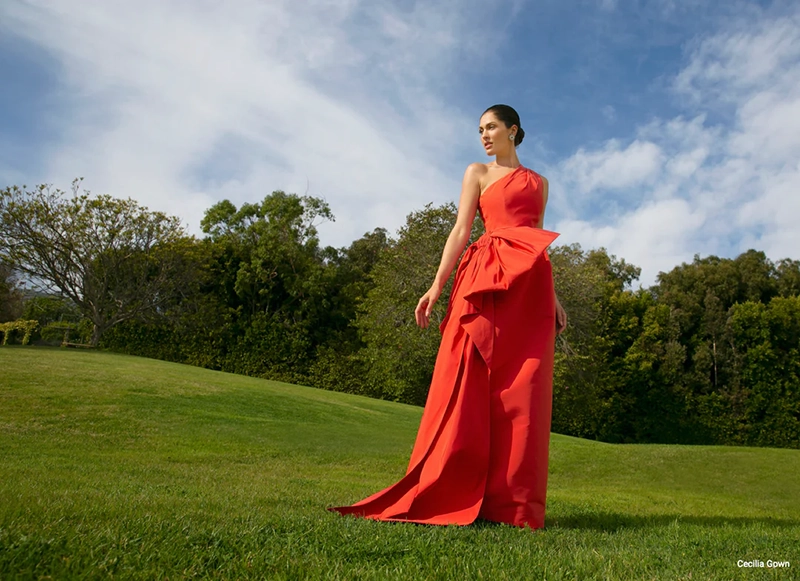 Capture People's Attention In A New Gown From Alexia Maria