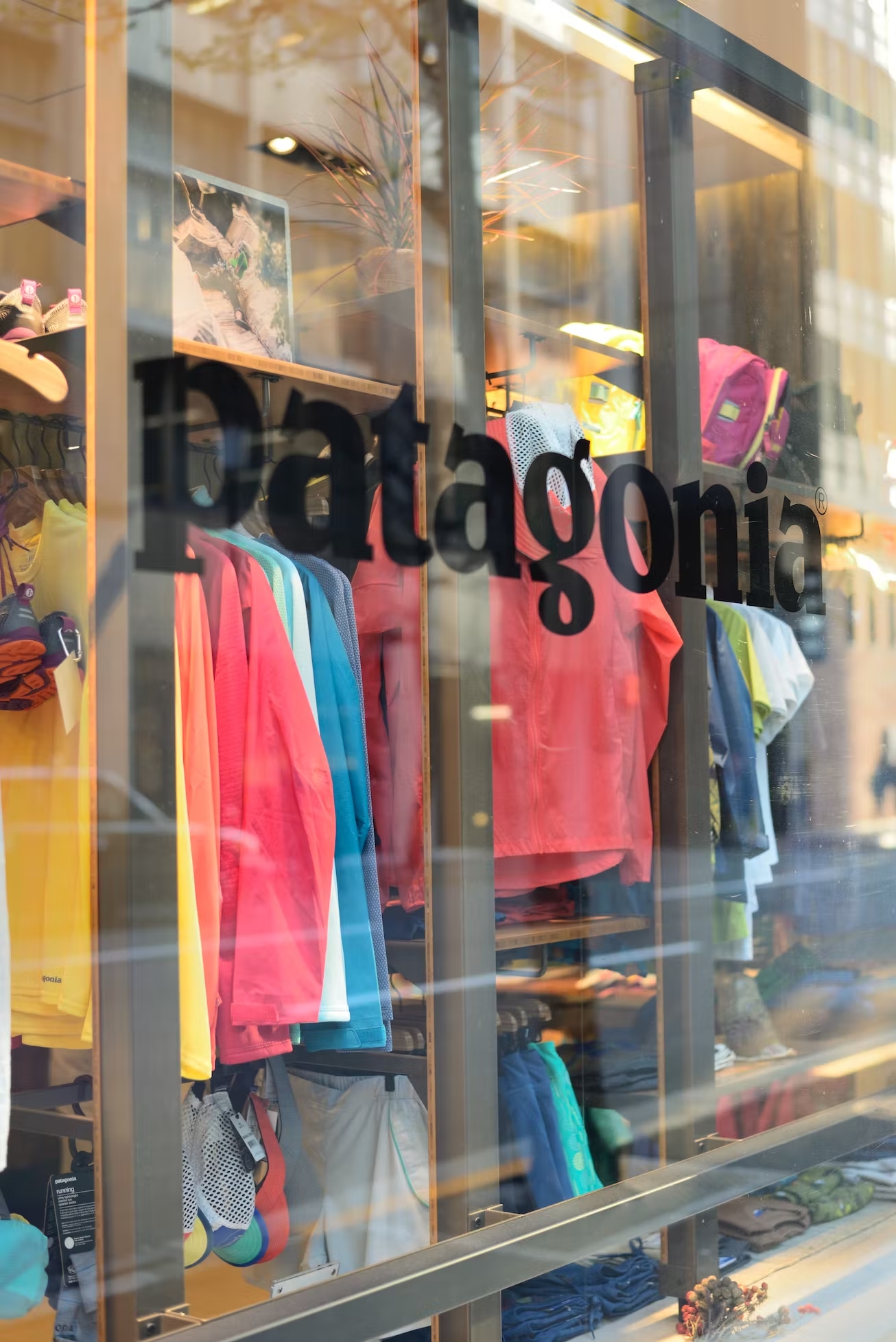 Patagonia Is Given Away To Fight Climate Change