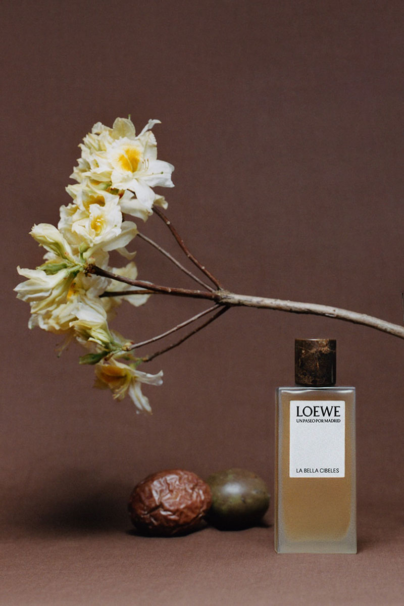 LOEWE Unveils a Set of New Fragrances with 