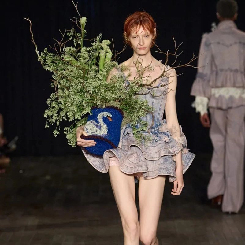 Aknvas Spring 2027 Turns The Wild Swans Into A Fashion Fairy Tale